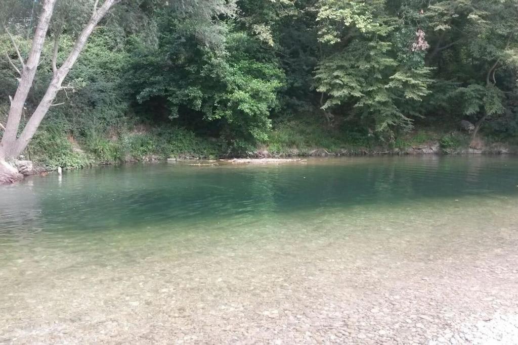 Appart Dans Maison 2 Km De La Plage Villeneuve-Loubet Ngoại thất bức ảnh